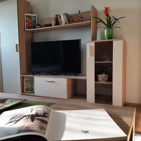 Ferienwohnung Vuk Čačak Exterior foto