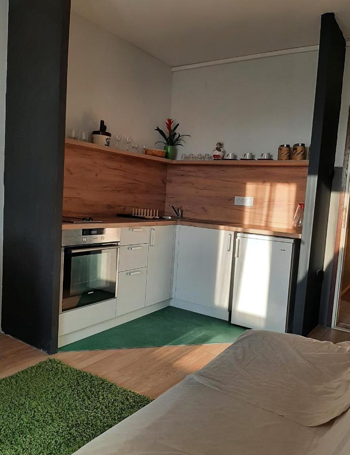 Ferienwohnung Vuk Čačak Exterior foto
