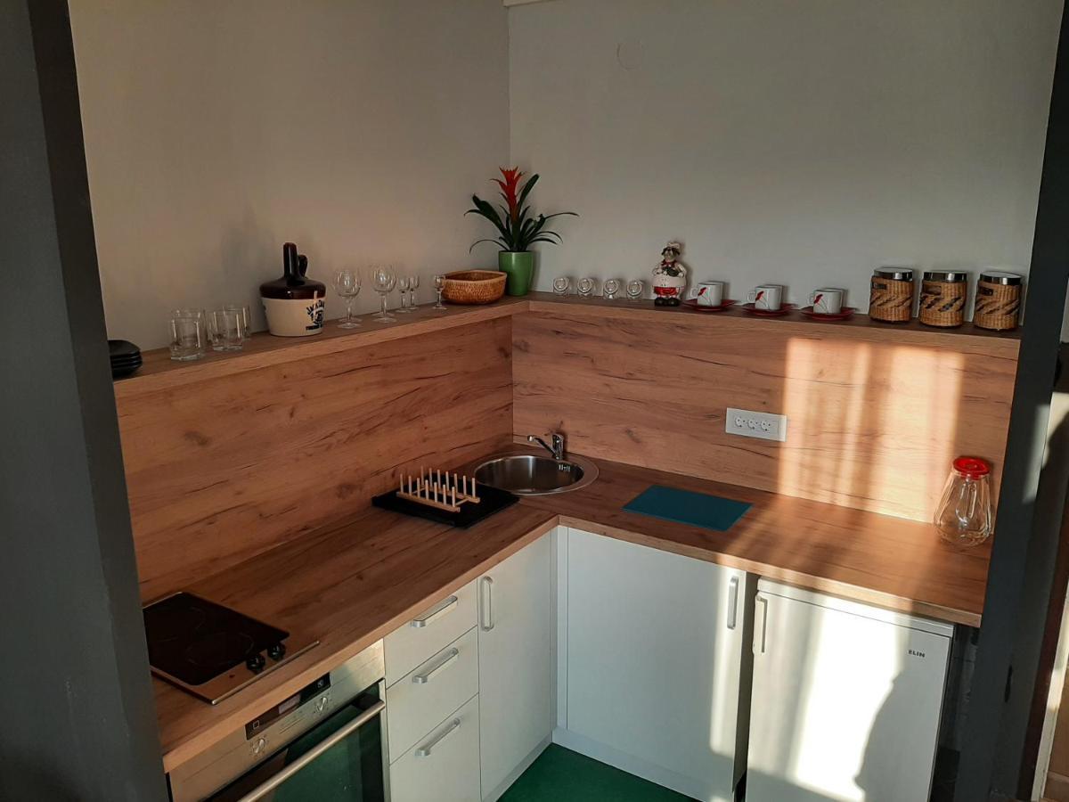 Ferienwohnung Vuk Čačak Exterior foto