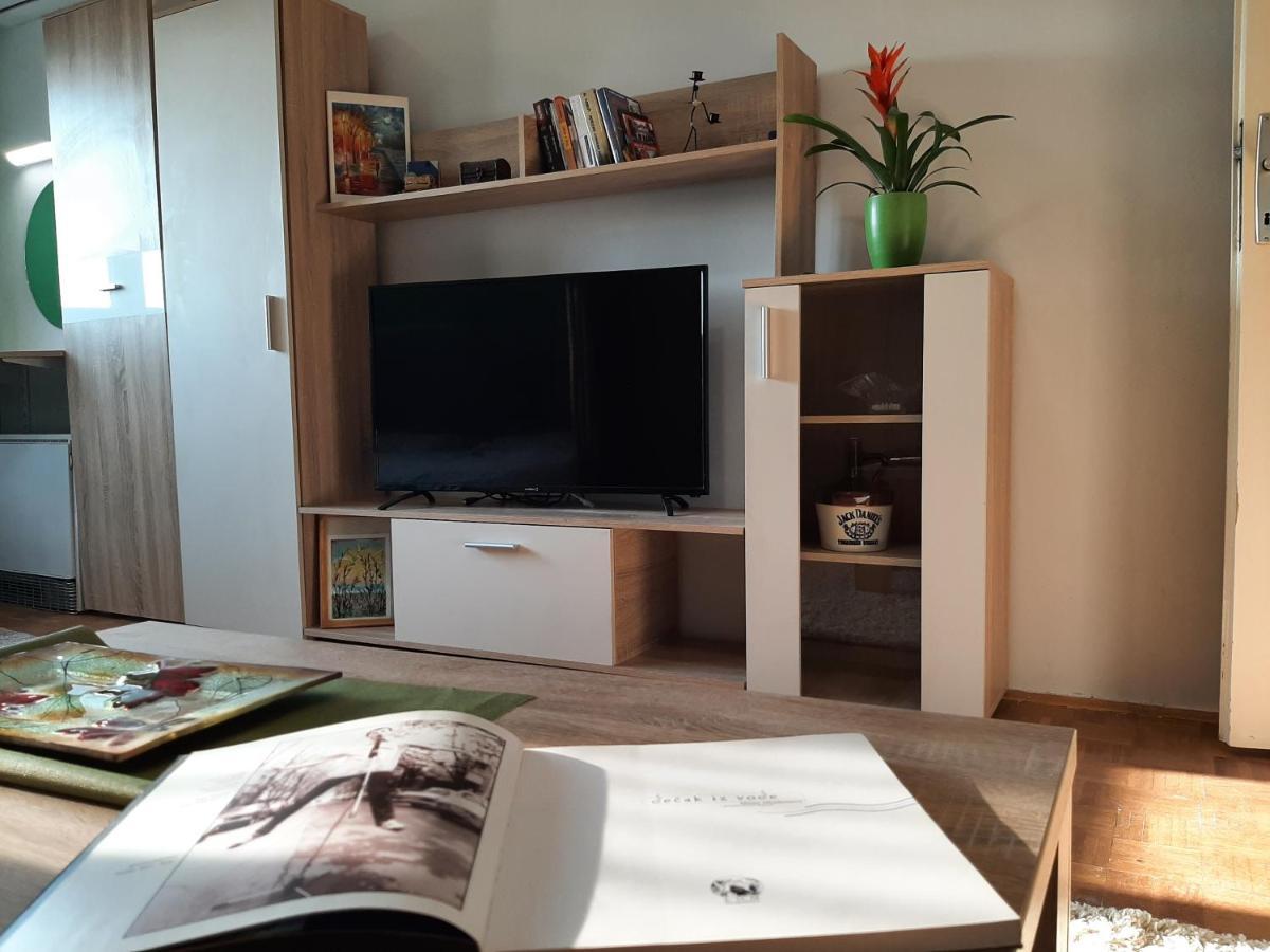 Ferienwohnung Vuk Čačak Exterior foto