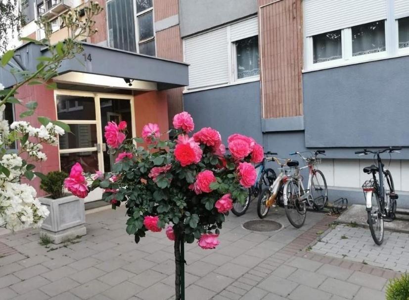 Ferienwohnung Vuk Čačak Exterior foto