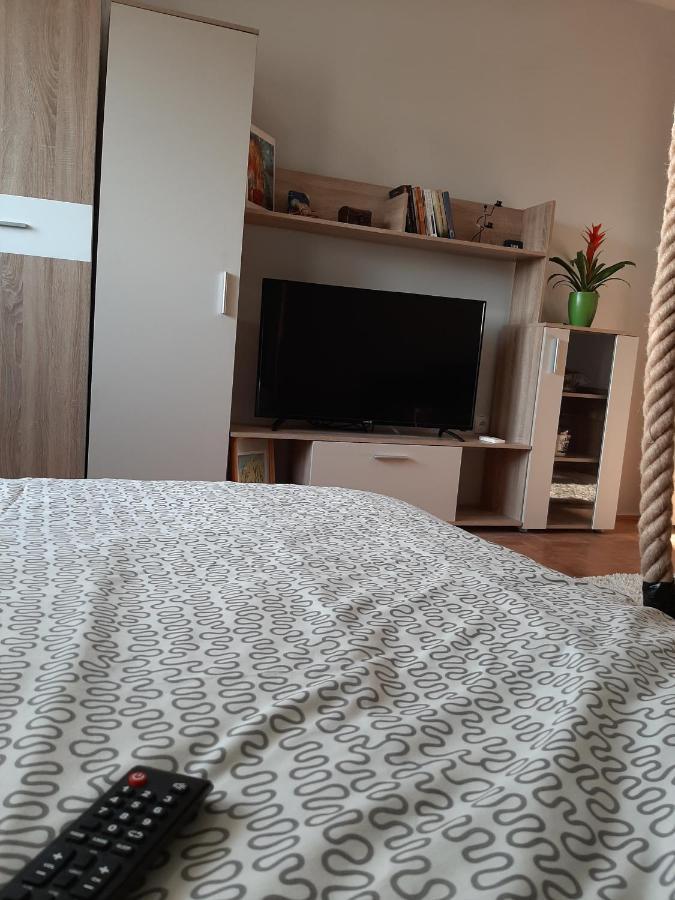 Ferienwohnung Vuk Čačak Exterior foto